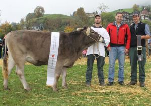 151010ViehschauNW 126